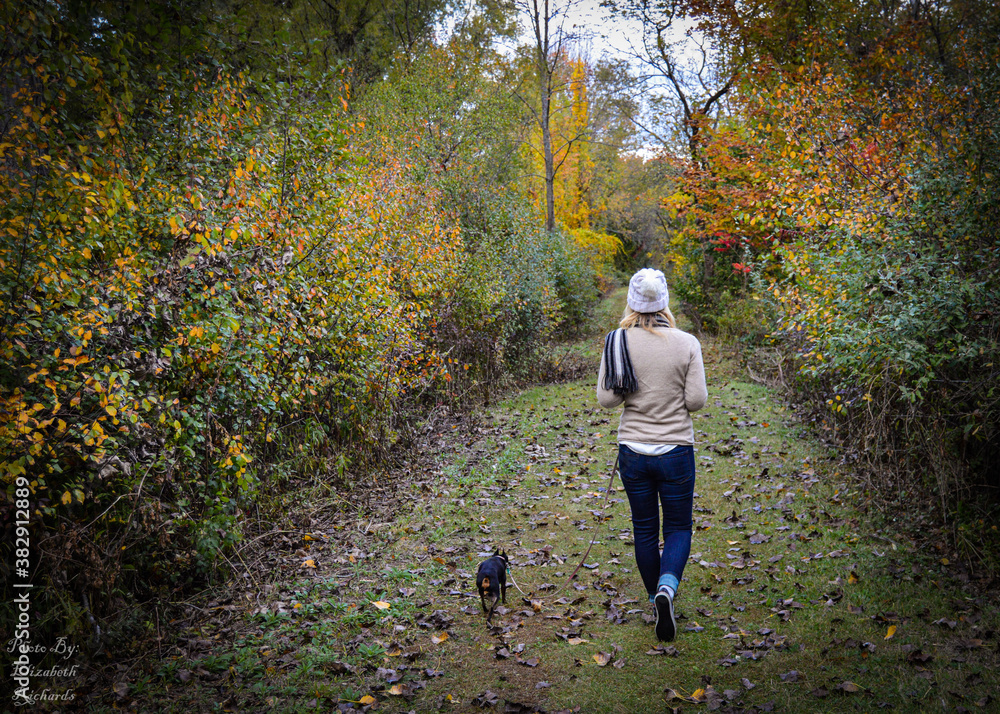 Fototapeta premium woman walking dog in autumn park