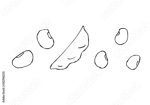  豆とさやの手描きイラスト