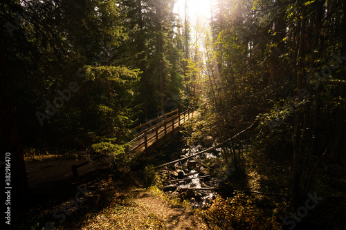 Beautiful Hiking Trail Bridge Stream Crossing in Forest with Light Flare from Sunset with Trees in Nature during Fall Autumn Season