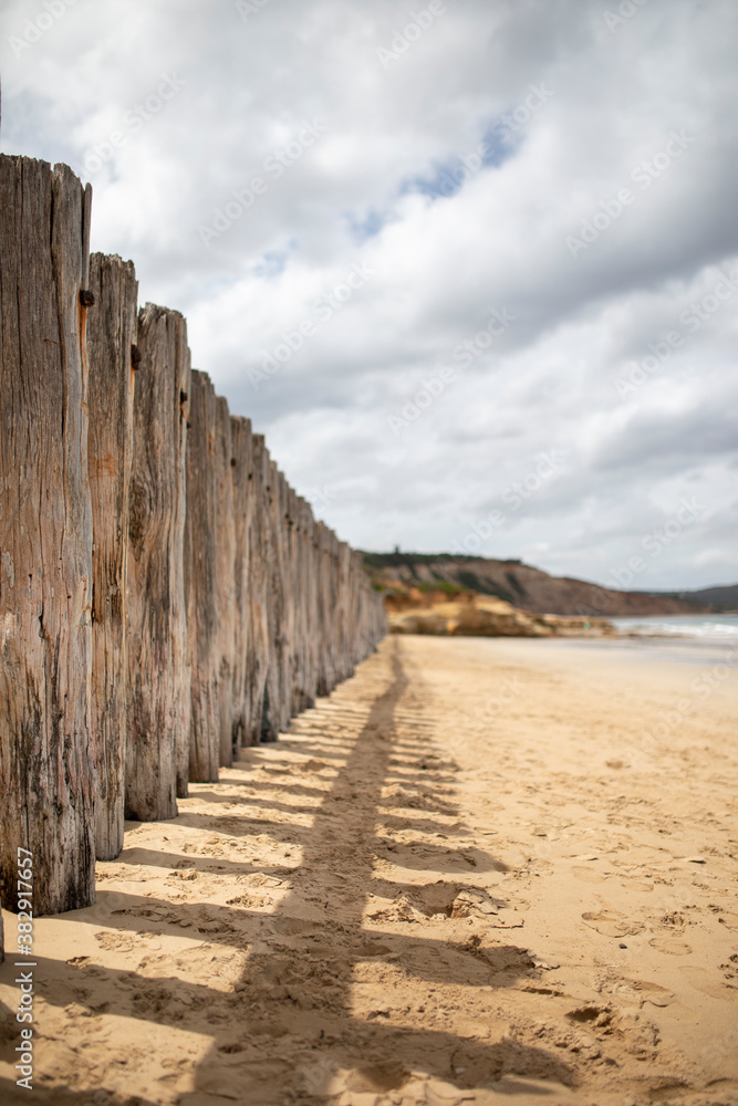 Sun bleached logs at Anglesea Beach, Victoria Australia