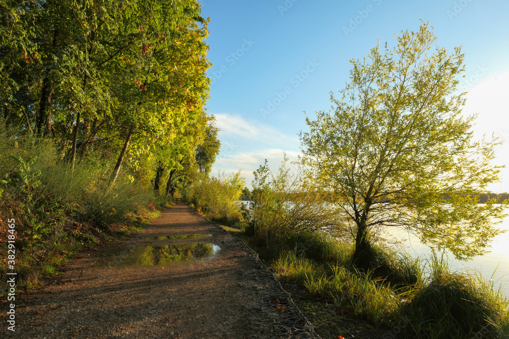 Naklejka premium Rural landscape in summer for hikker. Country road by a lake. 