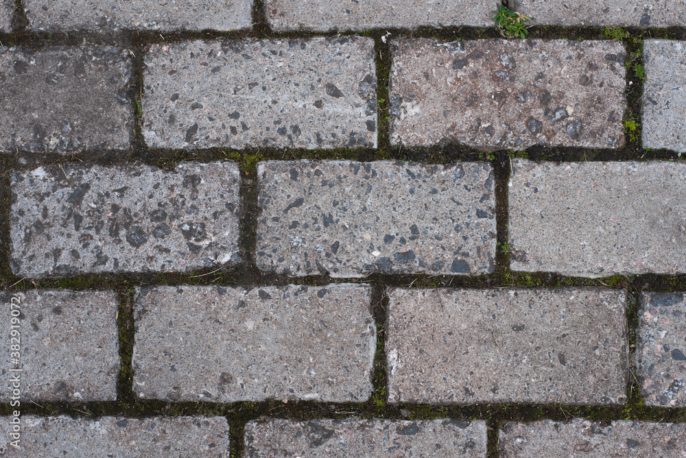 Gray brick path, moss in the cracks Gray brick path, moss in the cracks