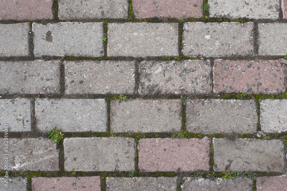 Gray brick path, moss in the cracks Gray brick path, moss in the cracks