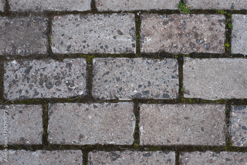 Gray brick path, moss in the cracks