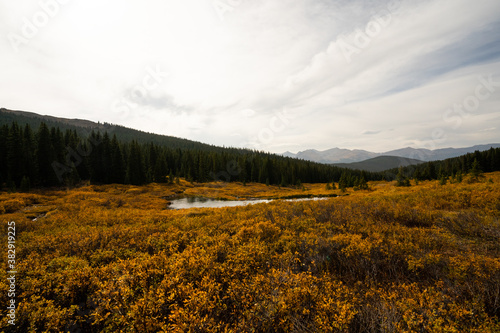 Mountain Lake during Fall Autumn Season surrounded by Yellow Changing Leaves Shrubs and Forest in Alpine Pass with Mountain Range and Clouds