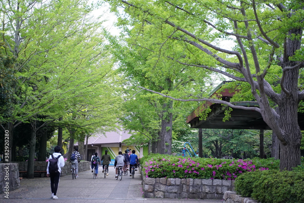 Fototapeta premium 放課後