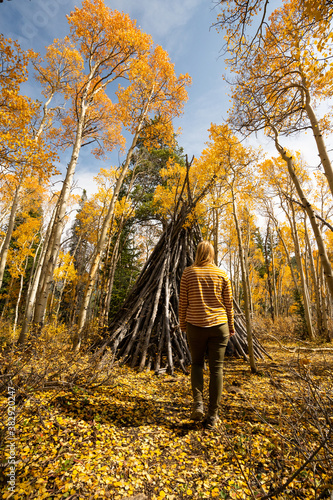 Woman Discovering Teepee in Woods Hiking on Trail Looking Up at Yellow Aspen Trees In Colorado During Fall Autumn Season on Bright Sunny Day with Beautiful Blue Sky