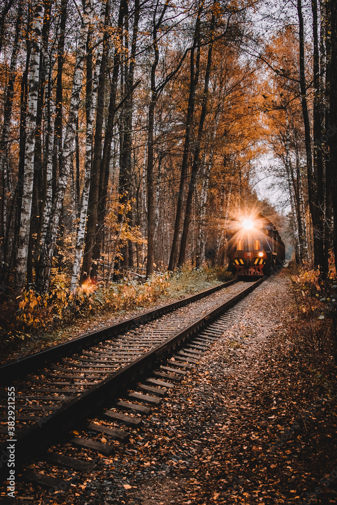 Fototapeta premium railway in the autumn forest