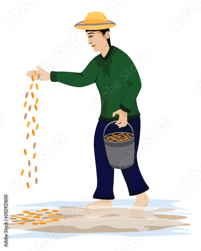 farmer sow rice into paddy field vector design