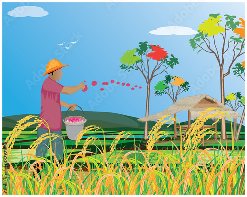 farmer manure into rice plant in paddy field vector design