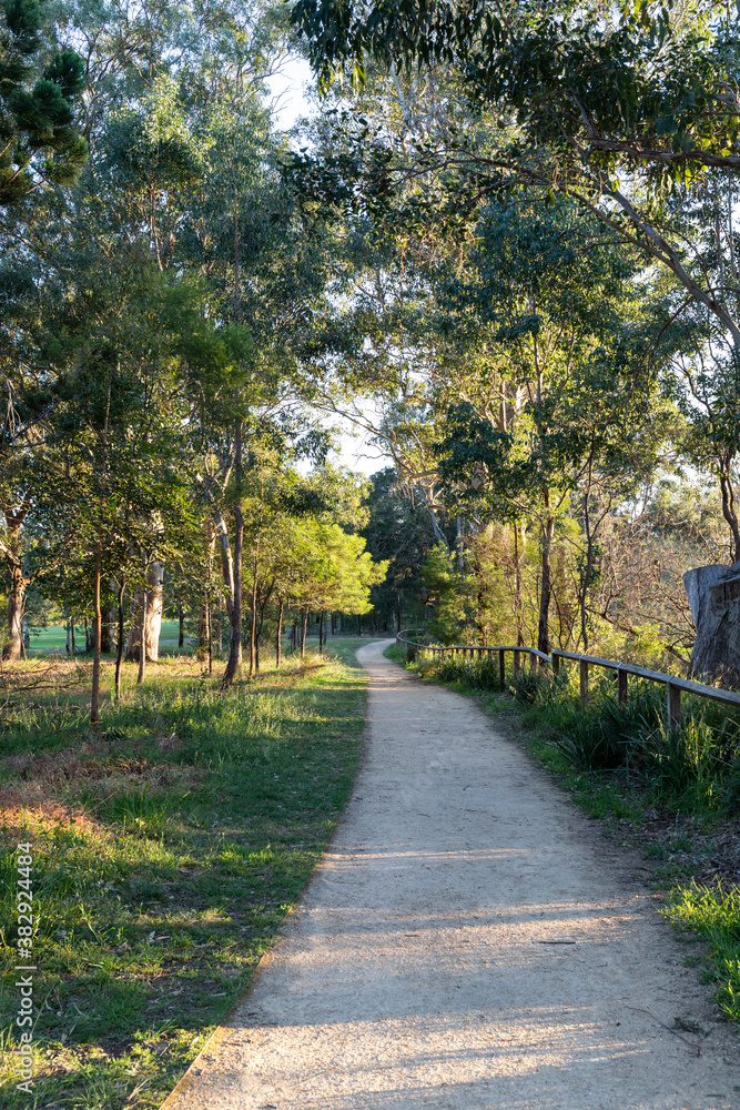 Dirt pathway between trees in Parramatta Park.