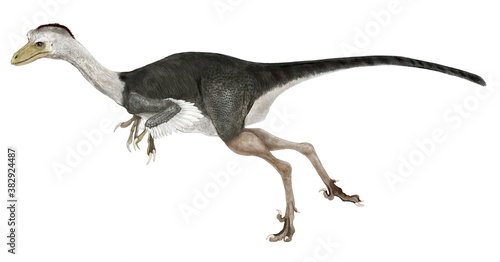 ステノニコサウルスはむしろトロオドンという旧名がよく知られている。最も知能が優れた恐竜。その歯にはティラノサウルスと同じセレーションと呼ばれる鋸状の刻みが付いていた。今ではトロオドンは学問上固有種としての名称は消滅したが中生代の恐竜の中で最も頭がよく、立体視が可能で夜行性の大きな目を持った俊敏な恐竜である。 © Mineo