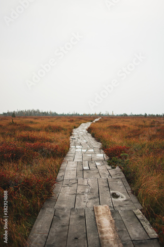 Yelnya swamps. Belarus. Nature trail © Polina_Tumash