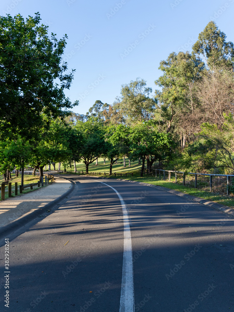 Curved road inside Parramatta Park surrounded by green trees.