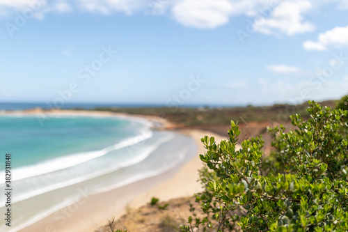 Scenic view at Anglesea Beach in Victoria  Australia blurred backgroun d
