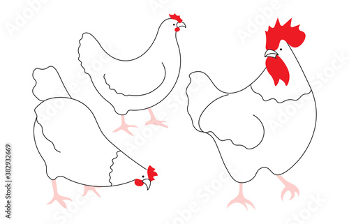 Chickens set and rooster