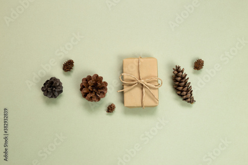 Gift box with autumn dry pine cones on khaki green background. flat lay, top view, copy space © Sanga