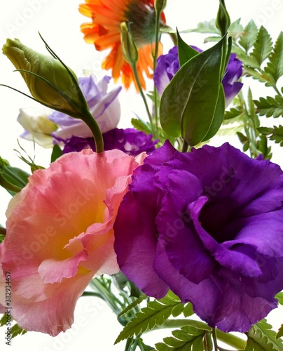 Flowers II