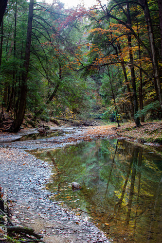 wilderness stream with fall color