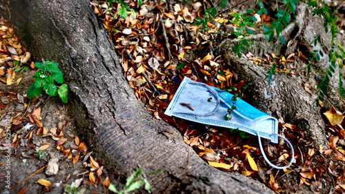 Blue Disposable Face Mask Discarded in the Woods Beneath a Tree