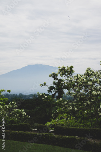 SONY DSC Borobudur,javaisland,mt.merapi,remains,landscape,temple,
indonesia,foggy,sky,buddism
ボロブドゥール,ジャワ島,風景,雲海,仏教, photo