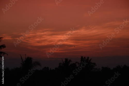 Beautiful sunset with the silhouette of coconut trees