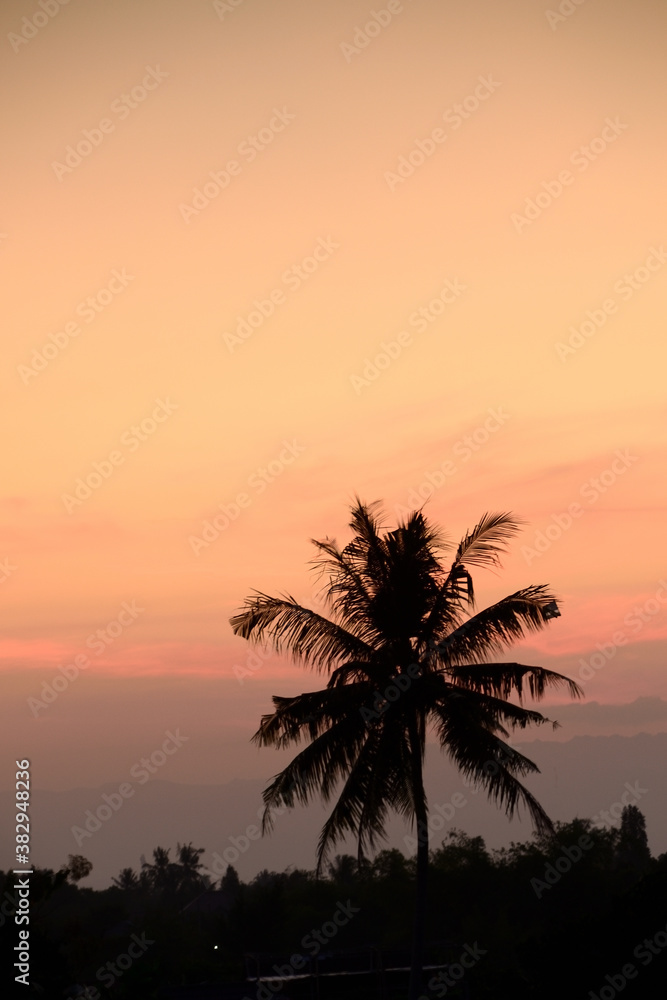 Beautiful sunset with the silhouette of coconut trees