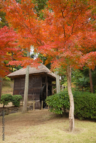 偕楽園公園（茨城県水戸市）