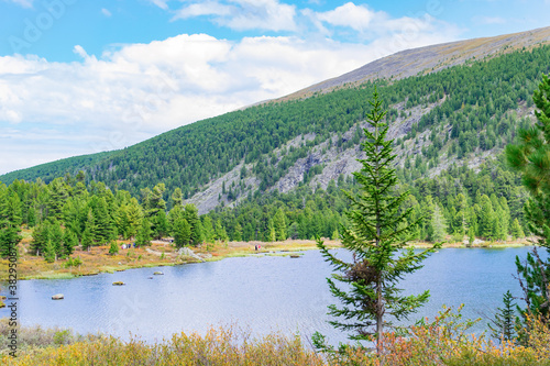 Landscape with mountain lake and pine forest.