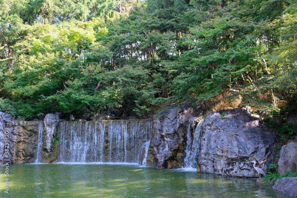 大阪鶴見緑地公園　滝としらさぎ