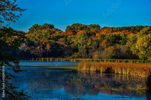 autumn in the park
