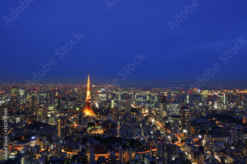 Night time view of Tokyo skyline