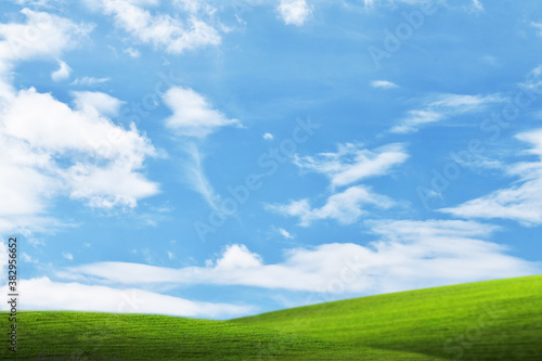 Fototapeta Naklejka Na Ścianę i Meble -  green field and blue sky
