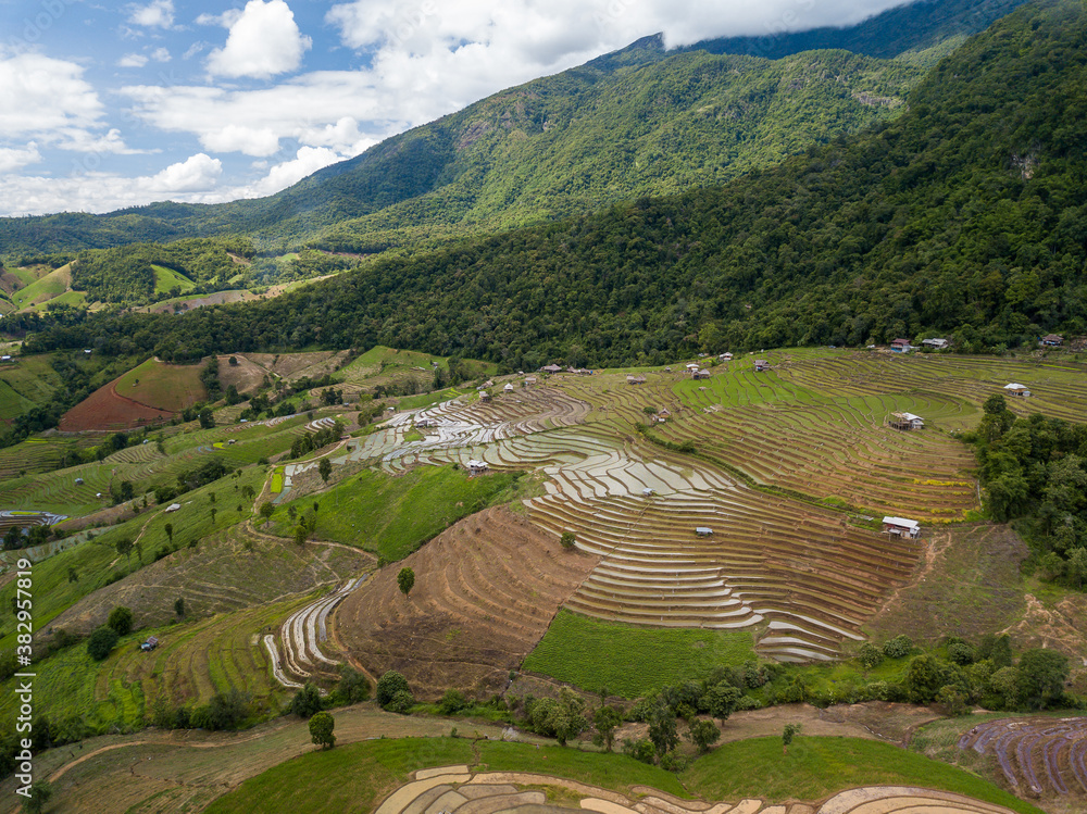 Top view Terraced rice field at Mae Cham Chiangmai Northern Thailand