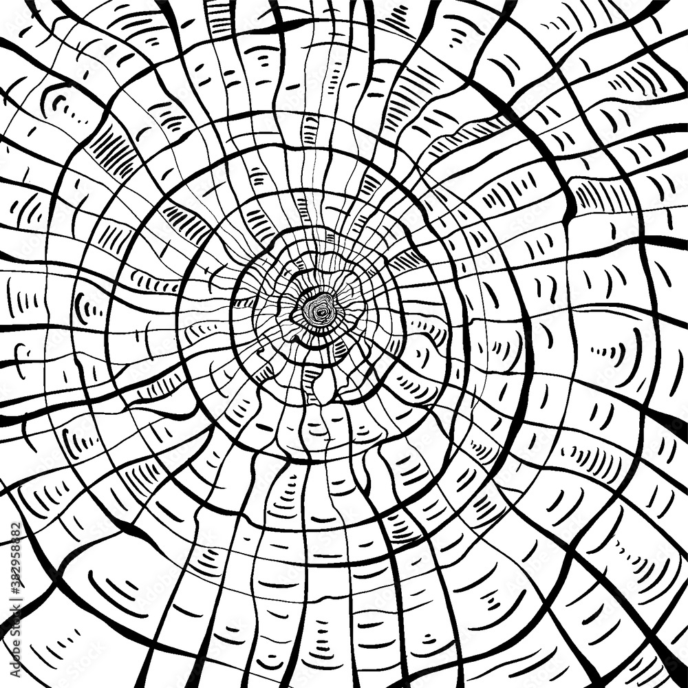 Obraz premium Wood rings texture in black and white palette