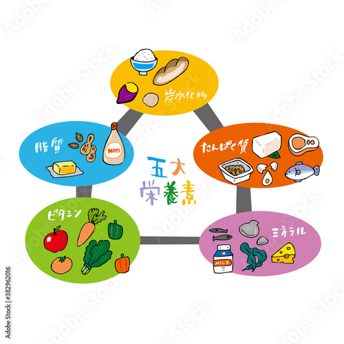 5大栄養素　イラスト　五角形グラフ