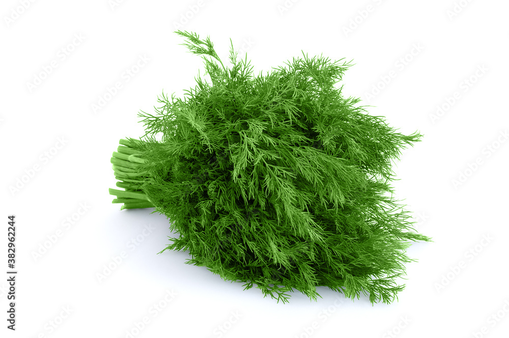 Fototapeta premium Bunch of dill isolated on white background. Fresh organic greens.