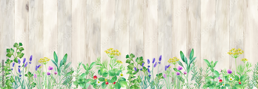 木のフェンスを背景にしたハーブガーデンの水彩イラスト 壁紙 シームレスパターン Illustration Stock Adobe Stock 木のフェンスを背景にしたハーブガーデンの水彩イラスト 壁紙 シームレスパターン Illustration Stock Adobe Stock