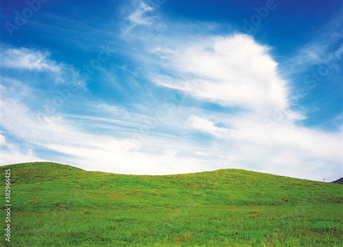 billowing clouds and grassland