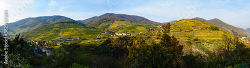 vineyards near spitz in the austrian danube valley wachau photo