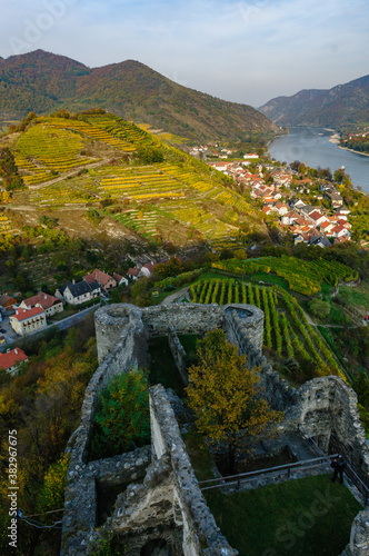 vineyards near spitz in the austrian danube valley wachau photo