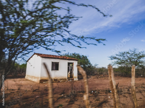 Cuadro en lienzo Região rural do sertão do Brasil e conta com a caatinga como bioma vegetal