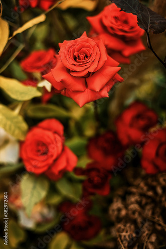 Juicy multicolored autumn wedding flowers collected in a large beautiful wedding decor in the woods