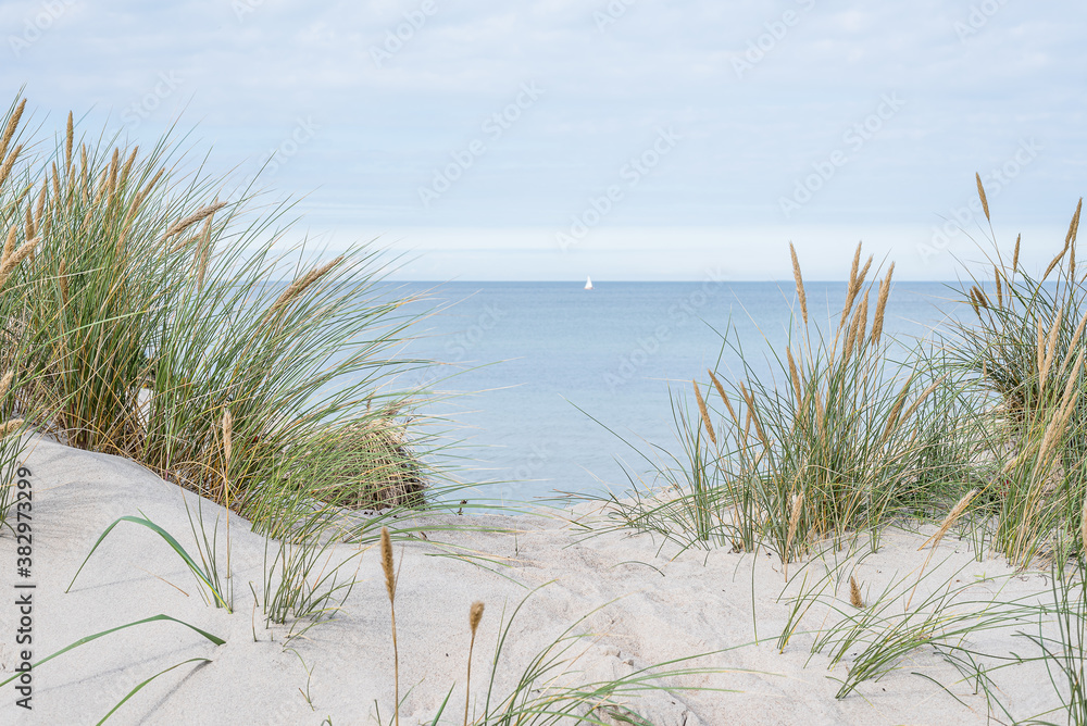 Fotografia dunes with swaying beach rye and a sailboat at the horizon