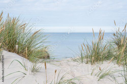Fotobehang dunes with swaying beach rye and a sailboat at the horizon