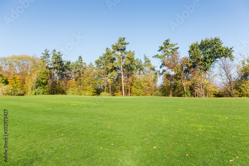 Mowed lawn on a background of the forest and sky