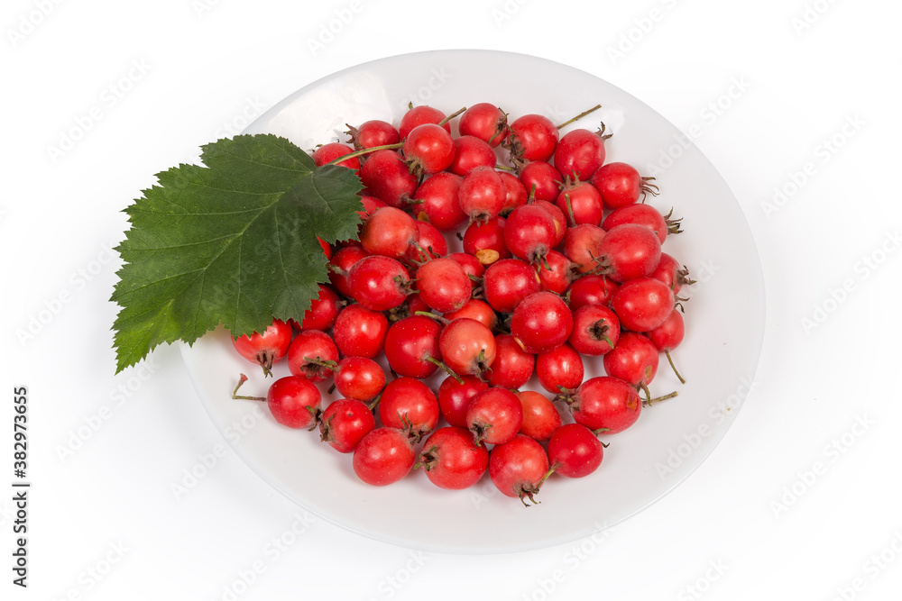 Harvested fruits of hawthorn and hawthorn leaf on white dish Harvested fruits of hawthorn and hawthorn leaf on white dish