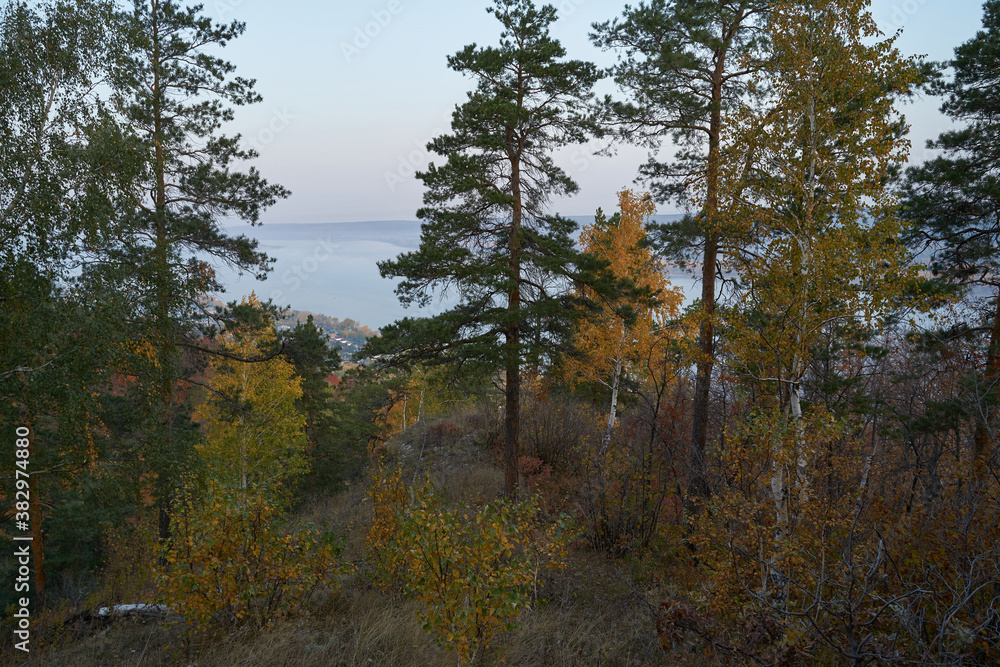 Autumn view from the mountain to the big river, in the forest with Golden leaves and green fir trees. Autumn time in the forest. Autumn view from the mountain to the big river, in the forest with Golden leaves and green fir trees. Autumn time in the forest.
