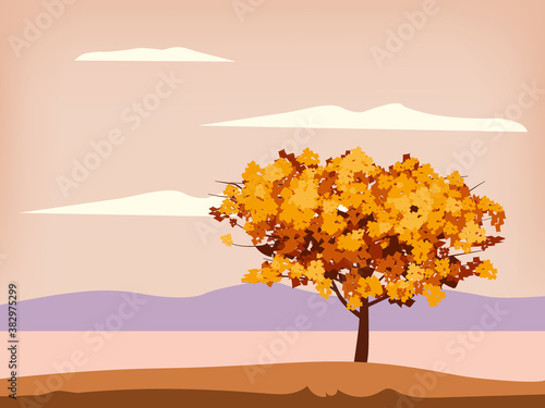 Autumn landscape tree orange yellow foliage  lake  park  nature horizon
