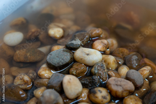 Fototapeta Naklejka Na Ścianę i Meble -  The pebbles that emerged a little above the water and were still wet.